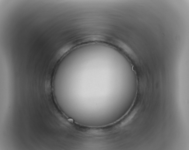 X0000111660977200907241148