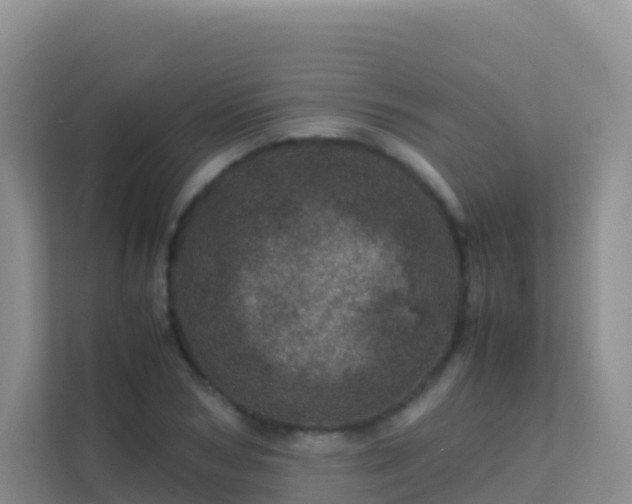 X0000111660978200907241148