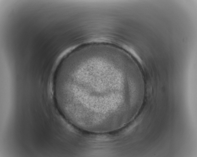 X0000111660979200907241148