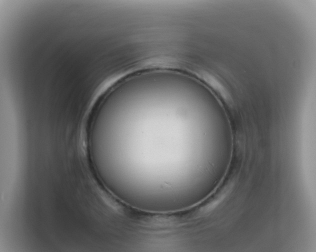 X0000111660981200907241148