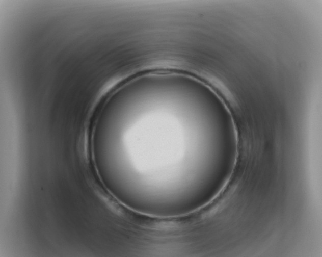 X0000111660982200907241148