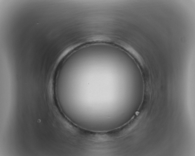 X0000111660983200907241148