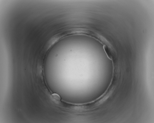 X0000111660985200907241148