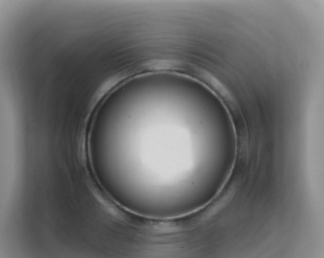 X0000111660986200907241148