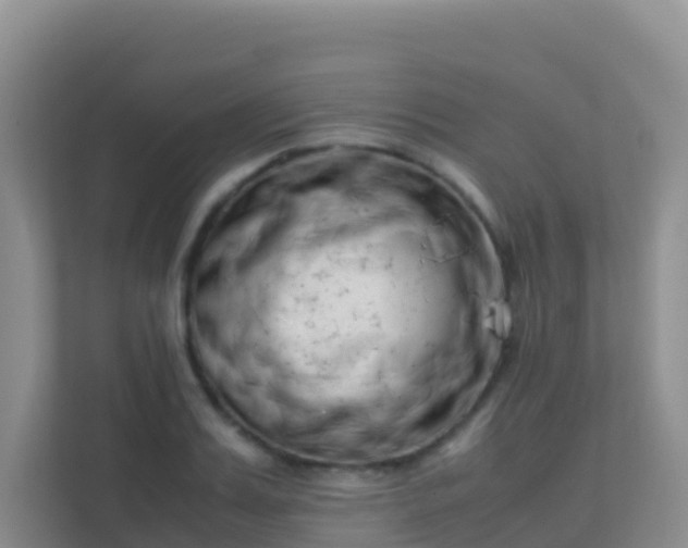 X0000111660987200907241148
