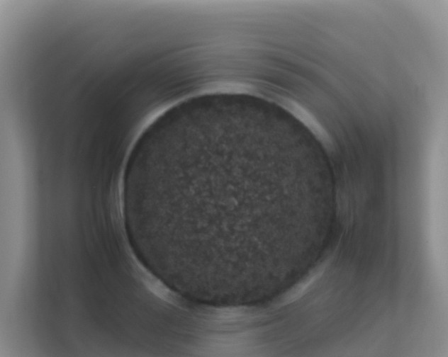 X0000111660988200907241148
