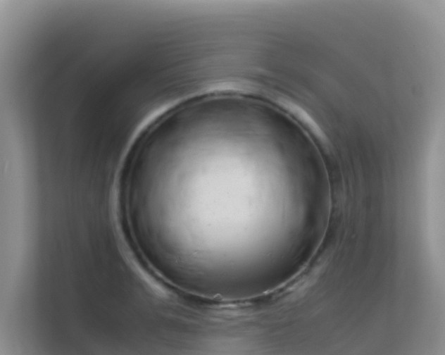 X0000111660991200907241148