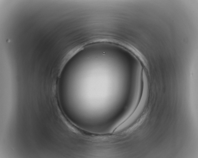 X0000111660993200907241148