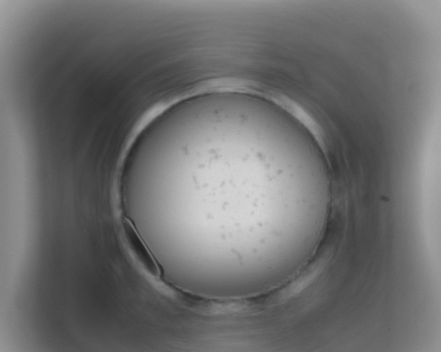 X0000111660997200907241148