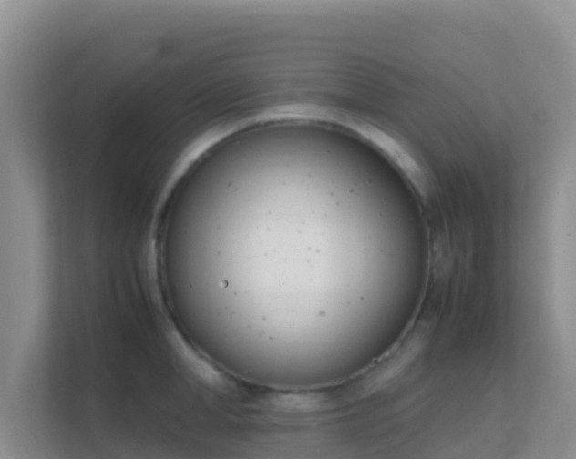 X0000111660998200907241148