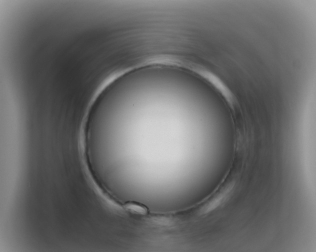 X0000111660999200907241148