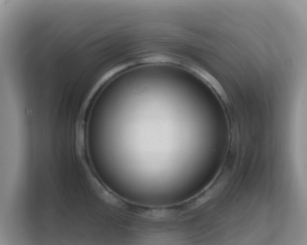 X0000111661000200907241148