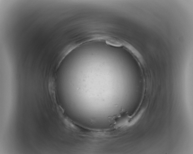 X0000111661001200907241148