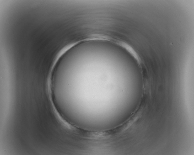 X0000111661003200907241148
