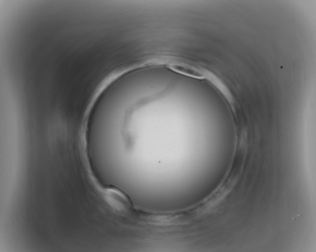 X0000111661005200907241148