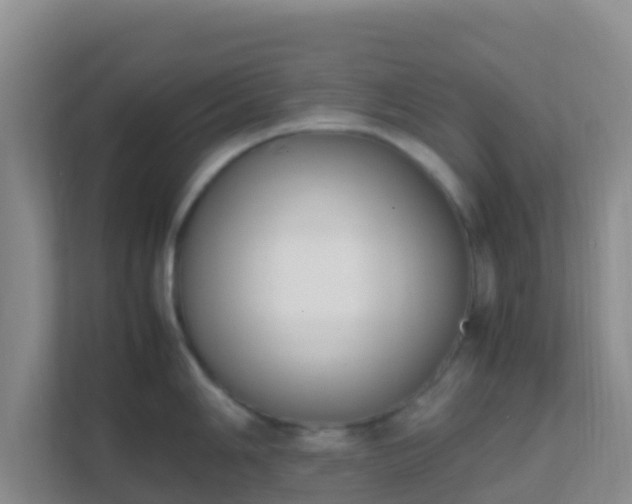 X0000111661006200907241148