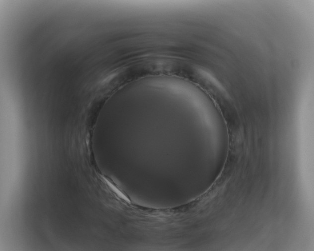 X0000111661013200907241147