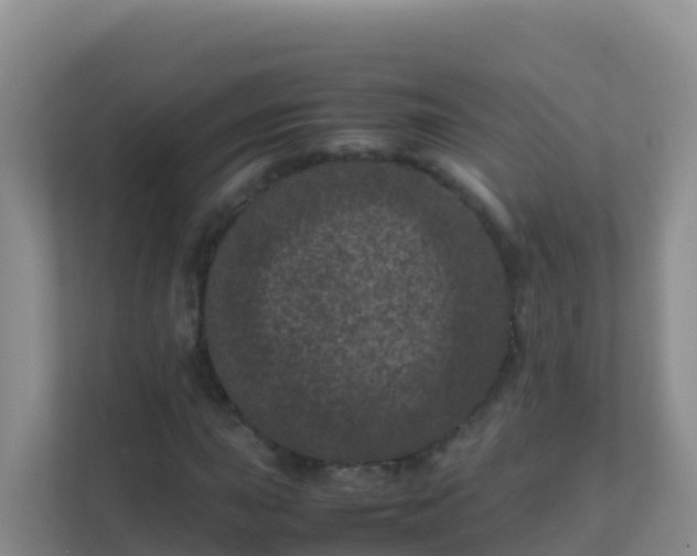 X0000111661015200907241147