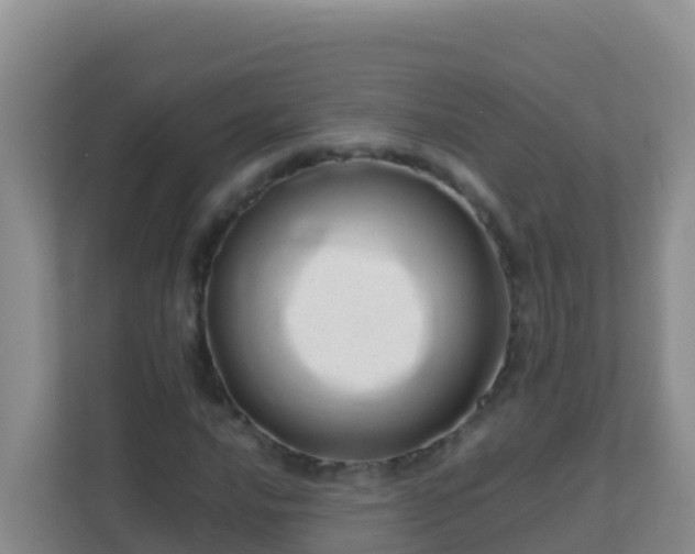 X0000111661016200907241147