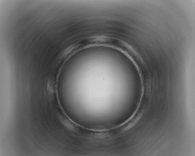 X0000111661017200907241147