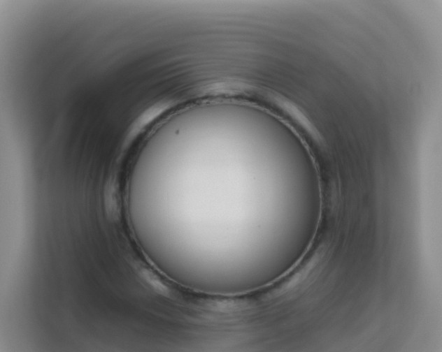 X0000111661018200907241147