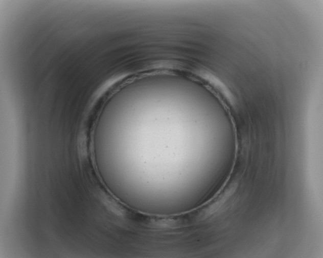 X0000111661019200907241147