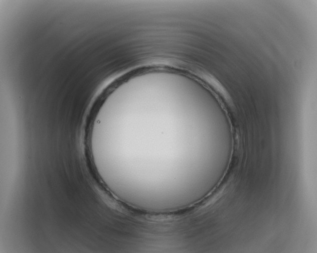 X0000111661020200907241147