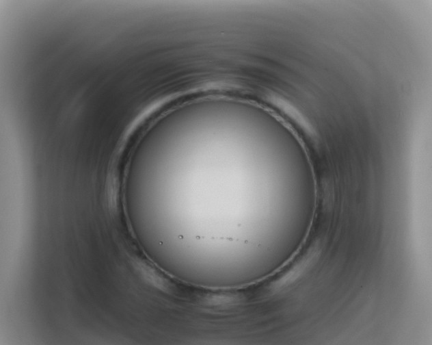 X0000111661021200907241147