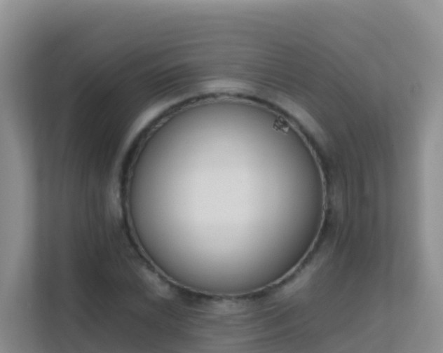 X0000111661022200907241147