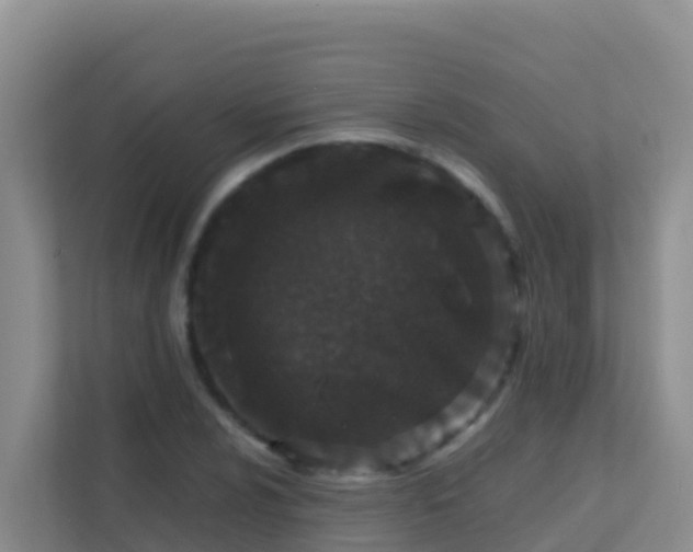 X0000111661024200907241147