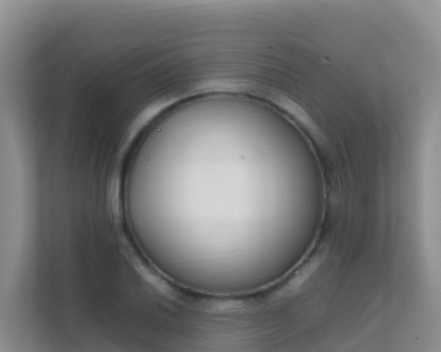 X0000111661030200907241147