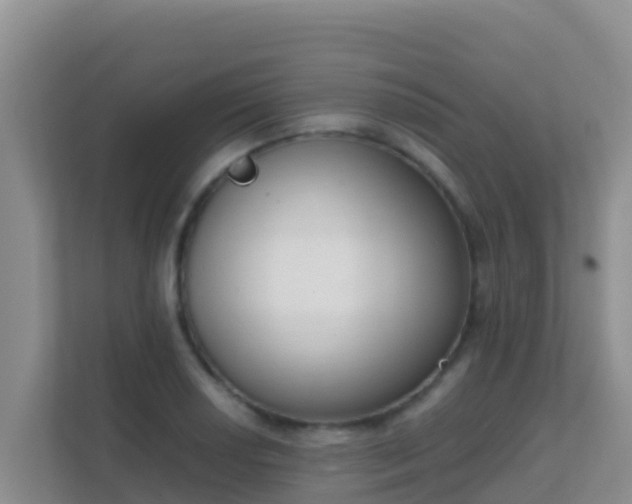 X0000111661034200907241147