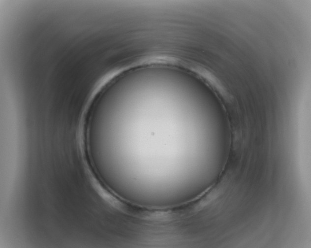 X0000111661038200907241147
