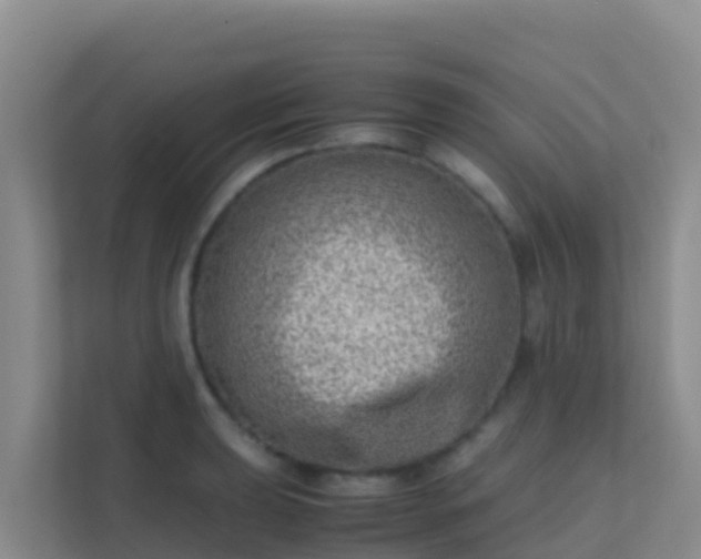 X0000111661039200907241147