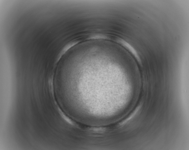 X0000111661041200907241147
