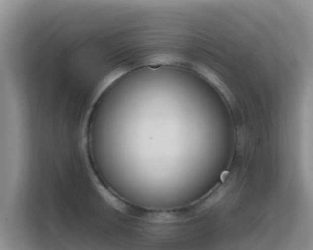 X0000111661042200907241147