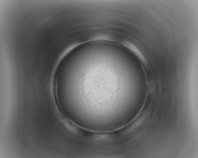 X0000111661043200907241147