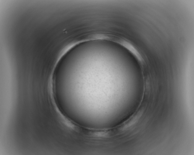 X0000111661047200907241147