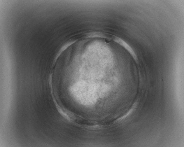 X0000111661049200907241147
