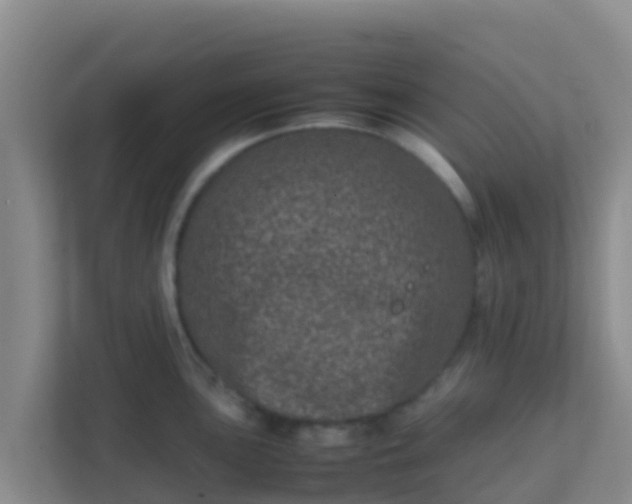 X0000111661051200907241148