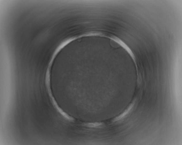 X0000111661053200907241148