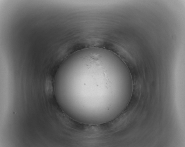 X0000111661058200907241147