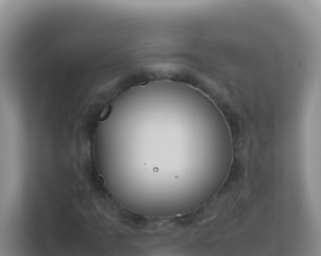 X0000111661061200907241147