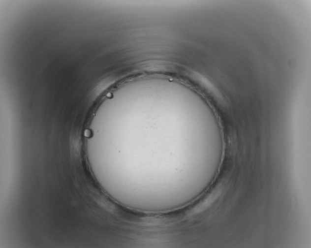 X0000111661065200907241147