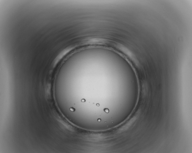 X0000111661066200907241147
