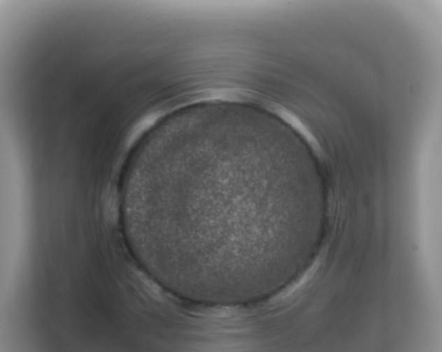 X0000111661067200907241147