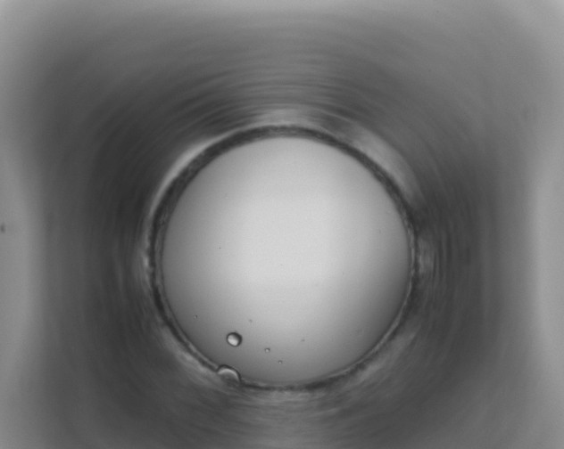 X0000111661068200907241147