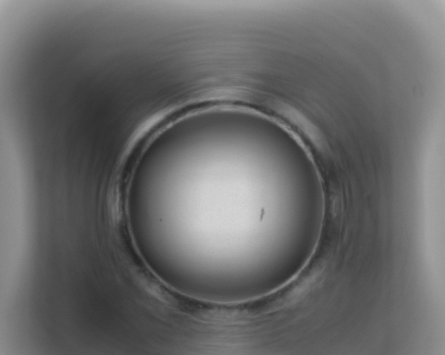 X0000111661069200907241147