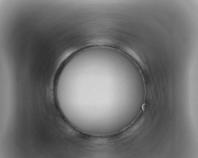X0000111661071200907241147
