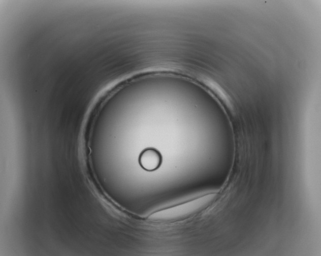 X0000111661072200907241147